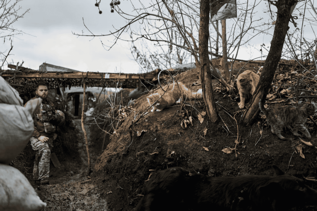 Ukrainian soldier in a frontline trench with two cats, showing a moment of humanity amidst the war.