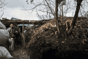 Ukrainian soldier in a frontline trench with two cats, showing a moment of humanity amidst the war.